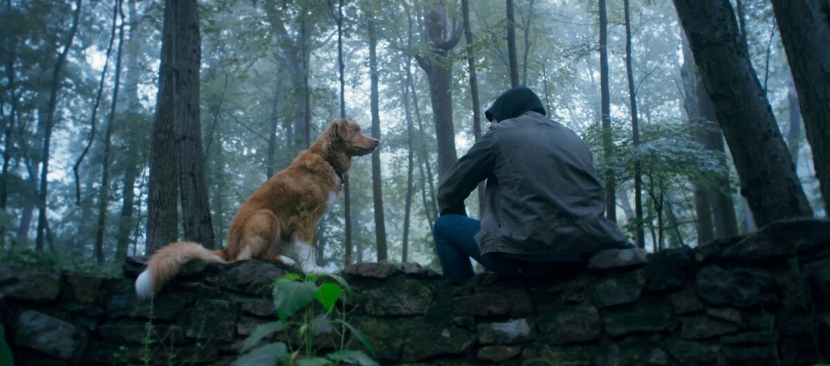 Good Boy